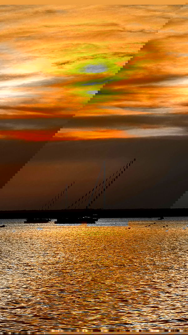 taylor.creeden taylor.creeden archive image