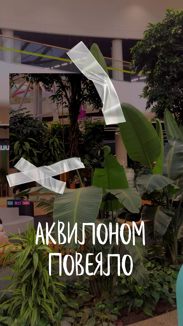 alisen.mari instagram image archive image