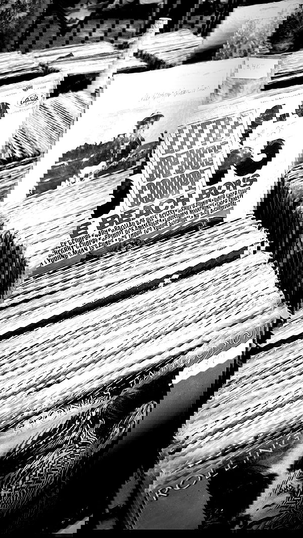 taylor.creeden taylor.creeden archive image