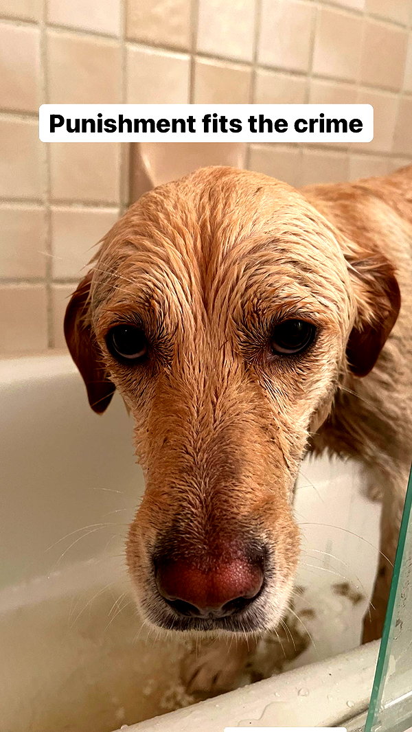 gabbyepstein instagram image archive image