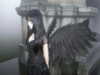 my__829 Altpins Profile Picture