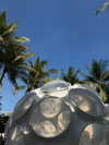 wildhalli Altpins Profile Picture