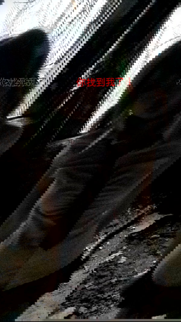 vixeniaaa vixeniaaa archive image