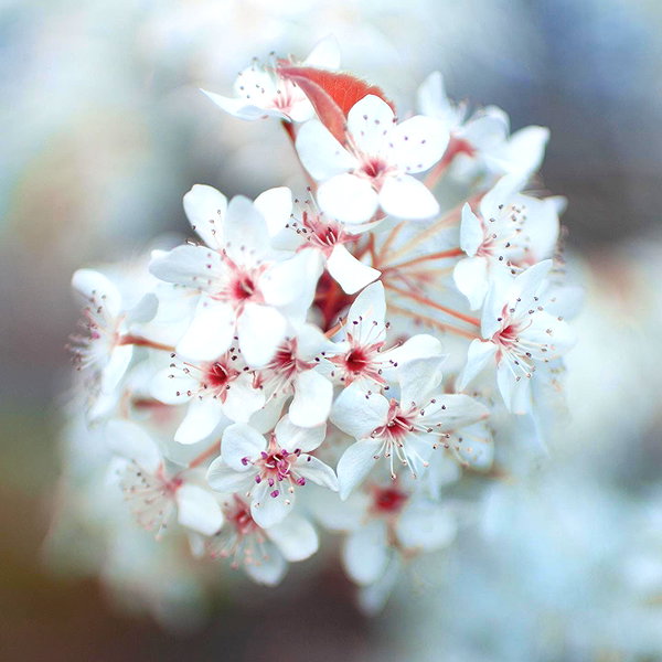 hallucineon instagram image archive image
