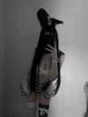 glowmoonshorty Altpins Profile Picture