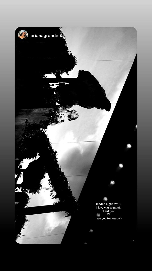 moonliliaght moonliliaght archive image