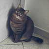 nishymoon_ Altpins Profile Picture