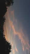 agam_nachman Altpins Profile Picture