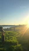 _lironatias Altpins Profile Picture