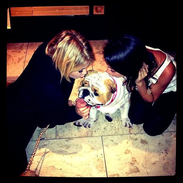 ashleybenson instagram image archive image