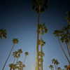 skylasanders Altpins Profile Picture