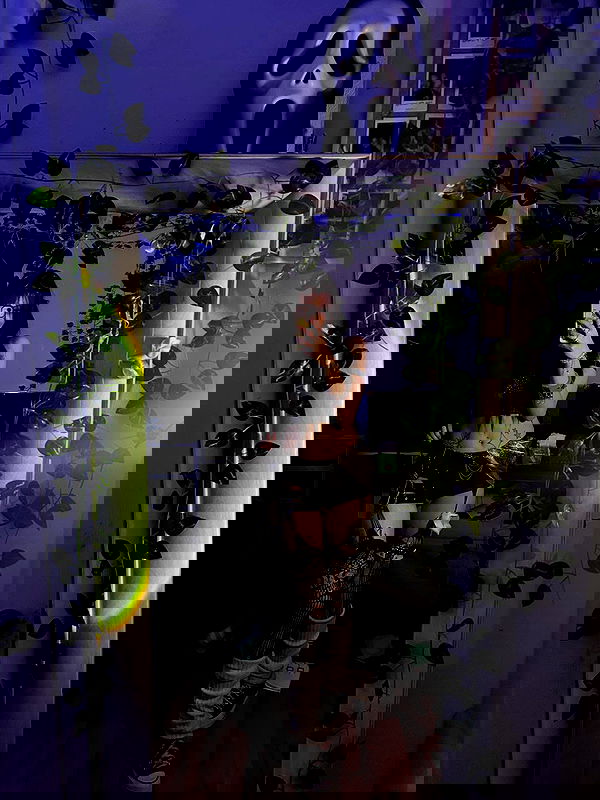 _animechika_ _animechika_ archive image