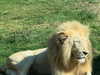 lindsaylohan Altpins Profile Picture