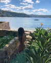 isabellemathersx Altpins Profile Picture