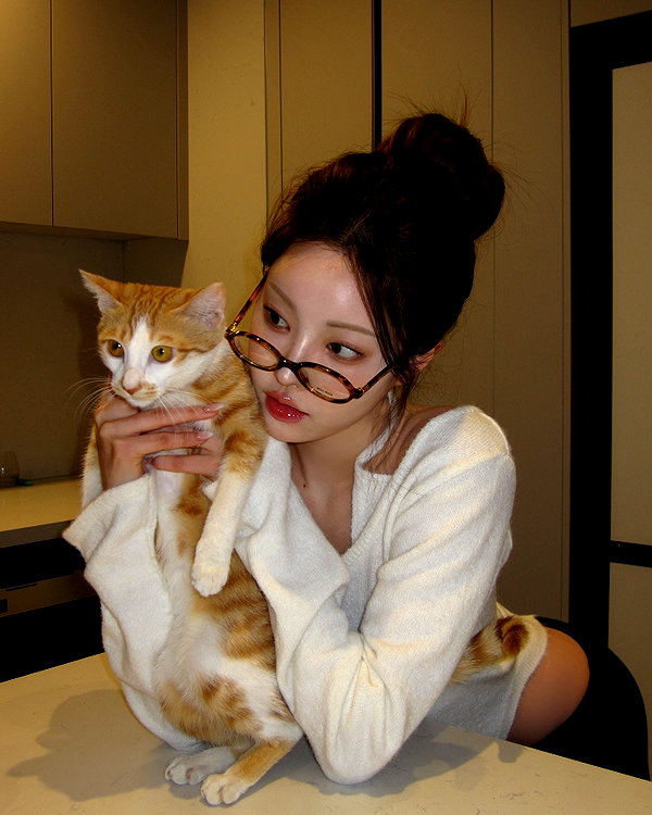 daxbin instagram image archive image