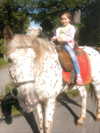thekallinan Altpins Profile Picture