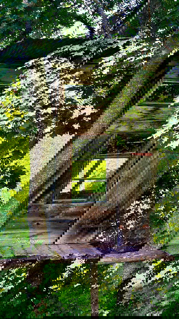 taylor.creeden taylor.creeden archive image