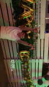 taylorballarddd Altpins Profile Picture