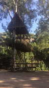 rott3nbambi Altpins Profile Picture
