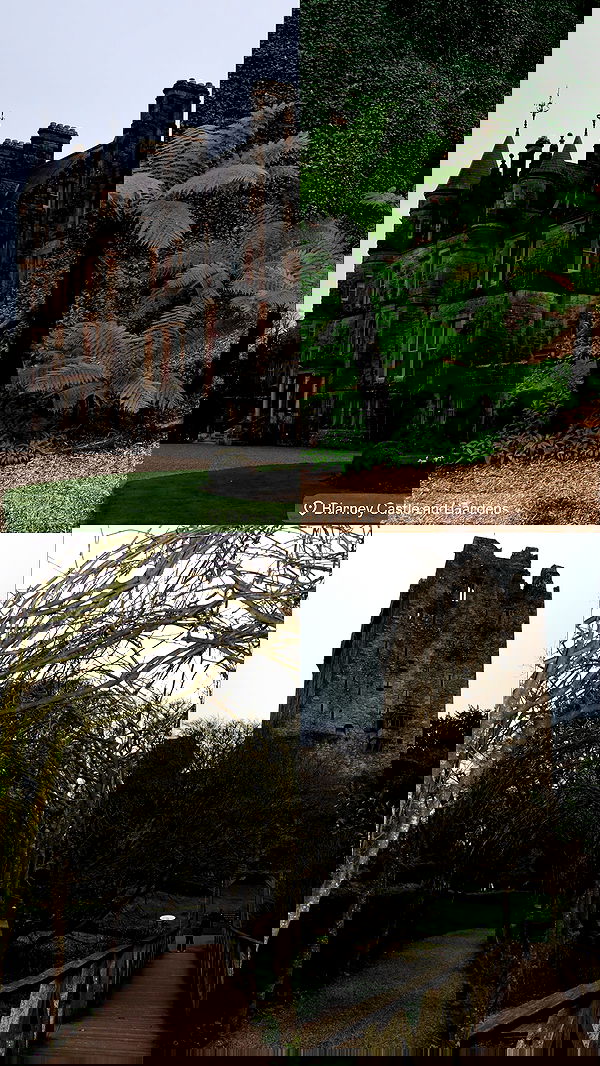 taylor.creeden taylor.creeden archive image