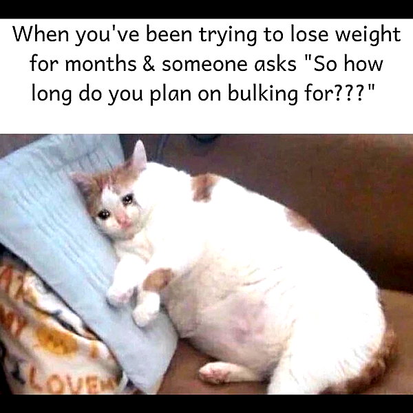 leanbeefpatty instagram image archive image