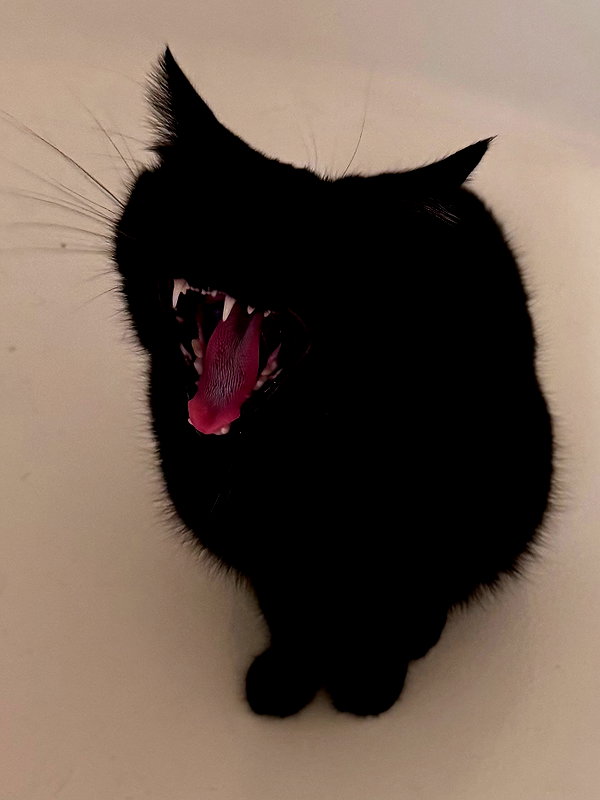 ibit3irl instagram image archive image