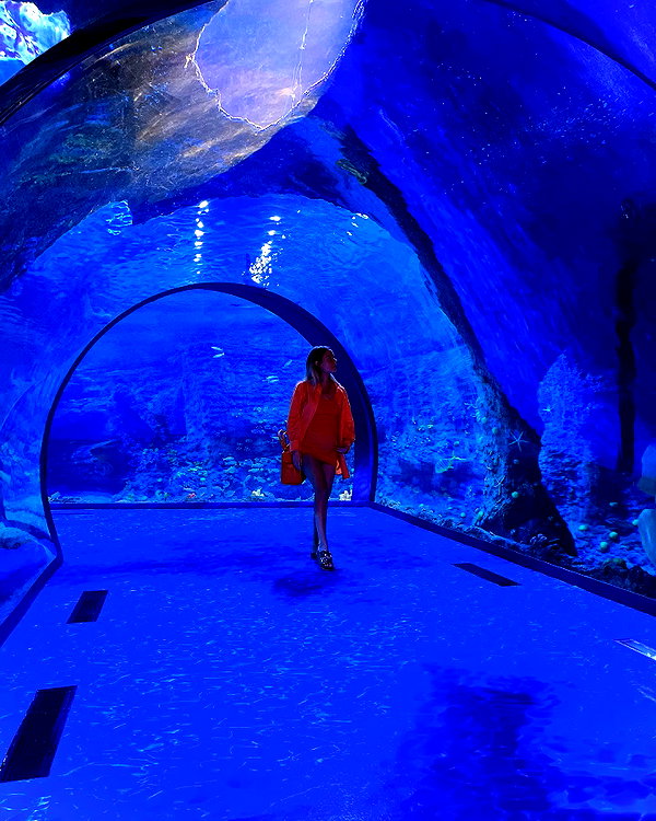 barzomer instagram image archive image