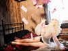 xtina Altpins Profile Picture