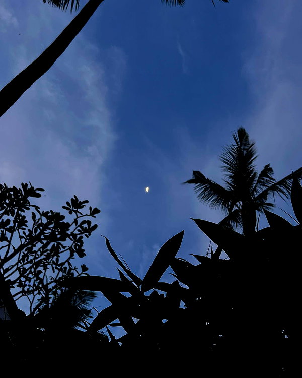 veroni22ka instagram image archive image