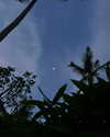 veroni22ka Altpins Profile Picture