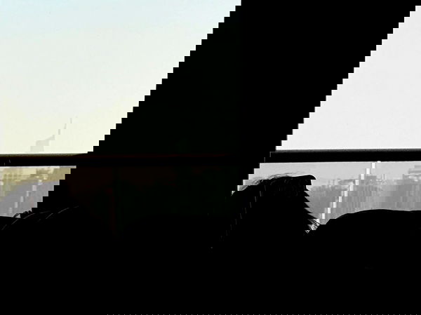 pollcherri pollcherri archive image