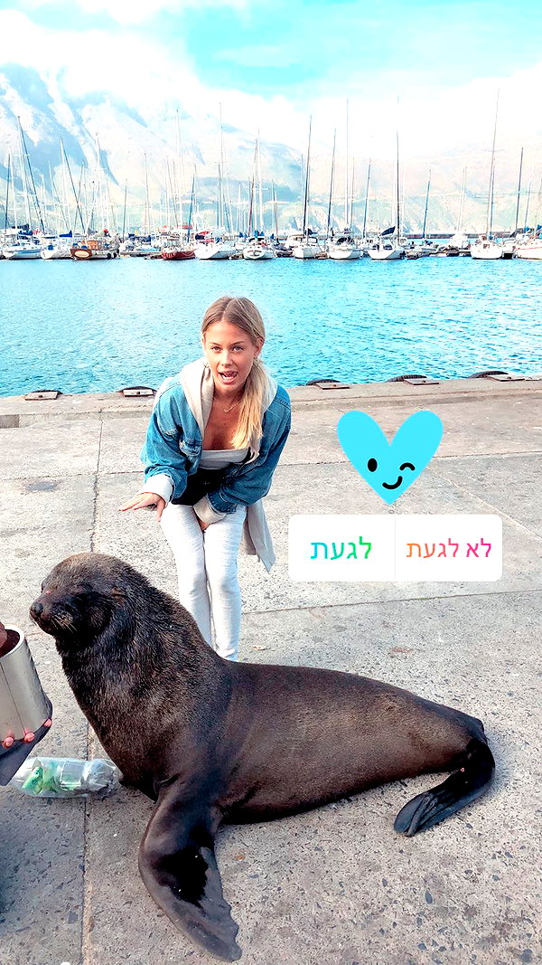 barzomer instagram image archive image