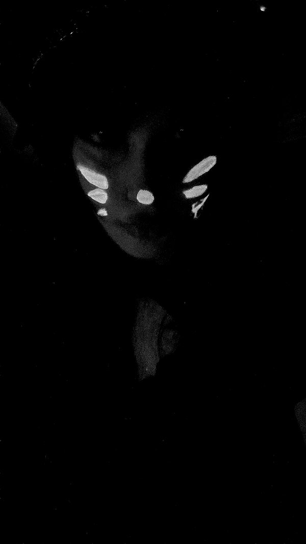 moonliliaght instagram image archive image