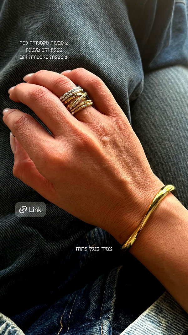 Archived image from @sapir_avisror on Instagram