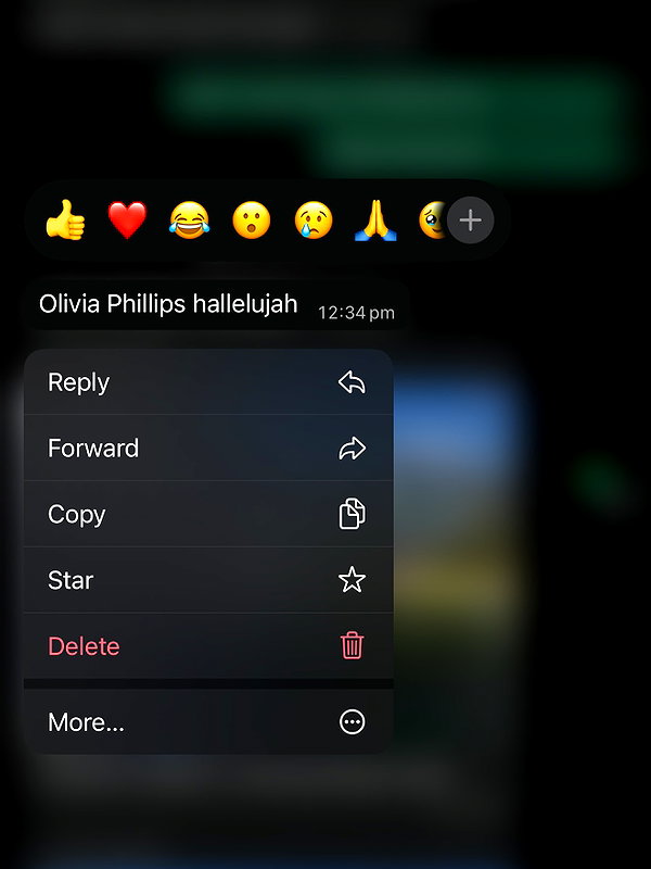 oliviaphillipps instagram image archive image