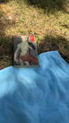 strawberryshanz Altpins Profile Picture