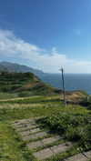 lollinski Altpins Profile Picture