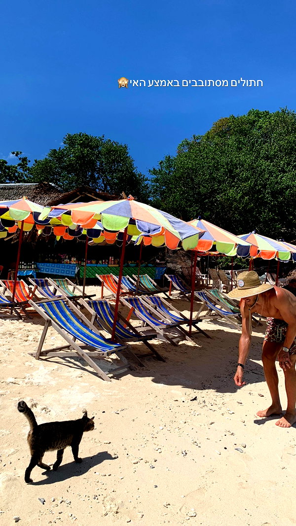 neta_alchimister instagram image archive image