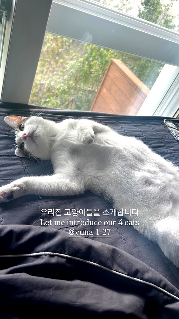 yuna_1_27 instagram image archive image