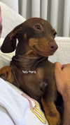 maya.keyy Altpins Profile Picture