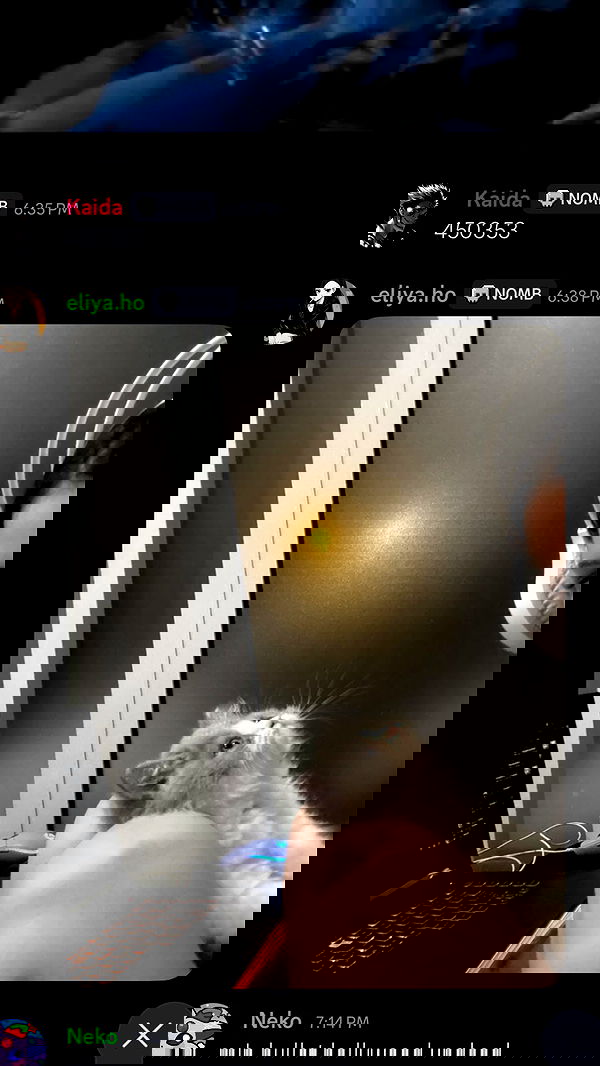 eliya.ho eliya.ho archive image