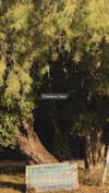 callieebullough Altpins Profile Picture