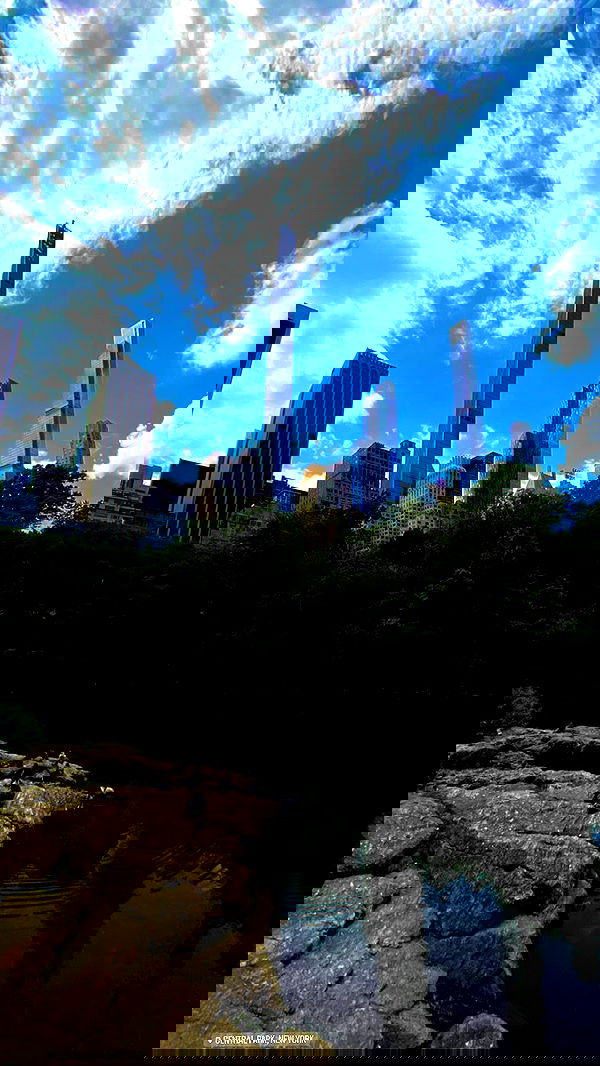 taylor.creeden taylor.creeden archive image