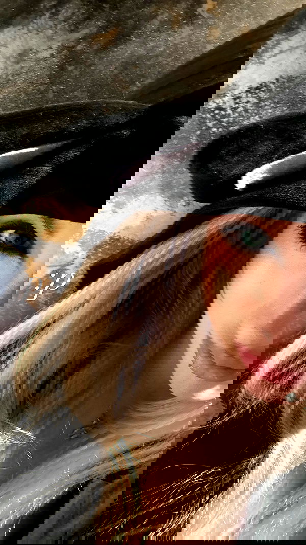 rchhhll rchhhll archive image