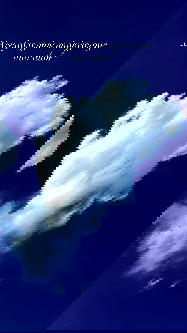 shunli__mei shunli__mei archive image