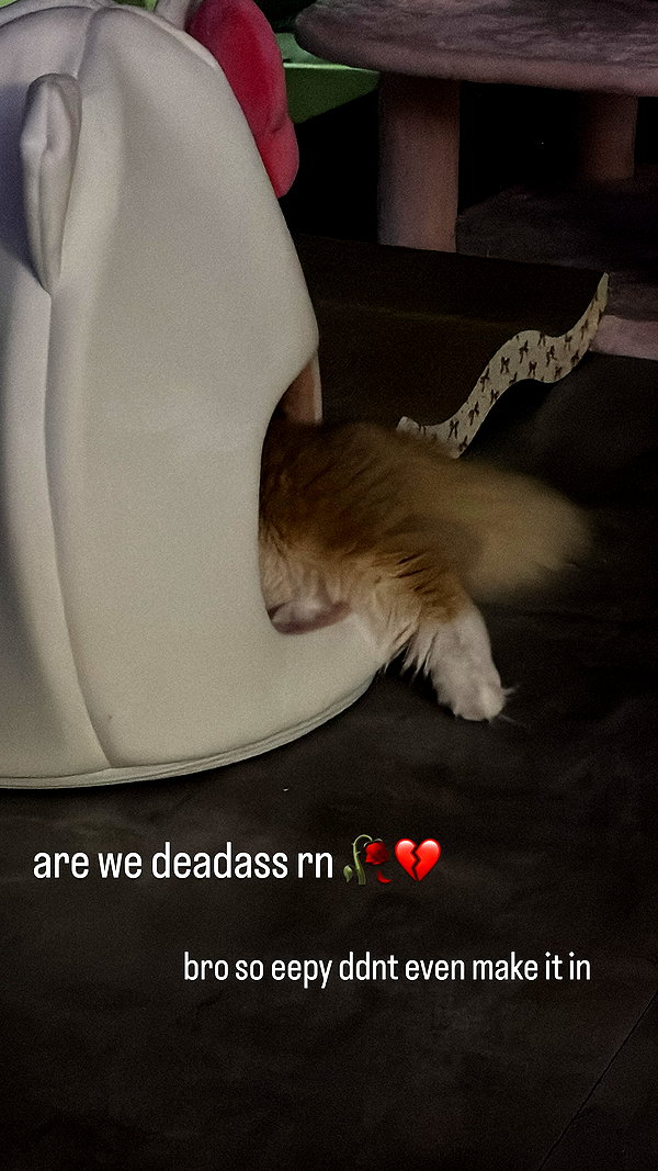 mennyaah instagram image archive image