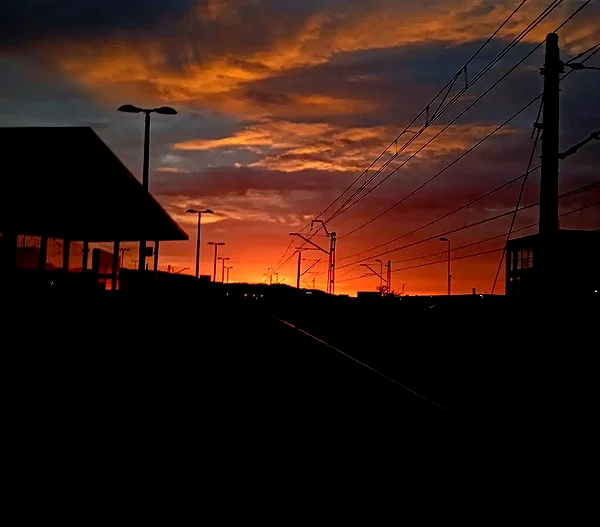 karzelek010 instagram image archive image