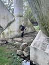 ash.onme Altpins Profile Picture
