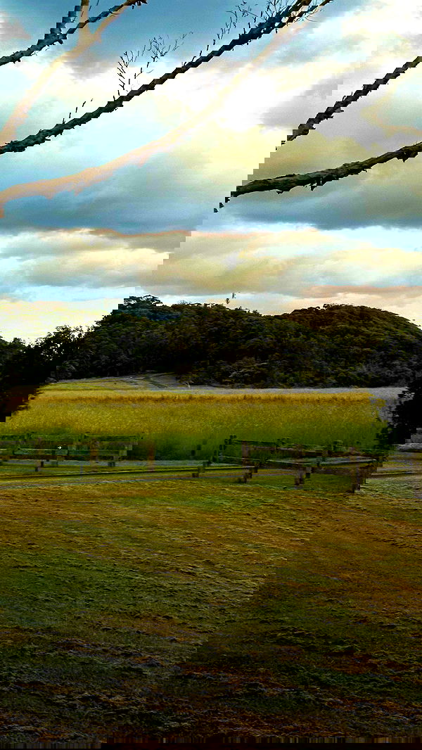 taylor.creeden taylor.creeden archive image