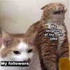 ellaexplicit_ Altpins Profile Picture